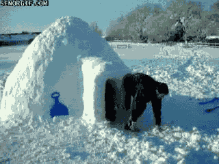 6BE2AA08-62EF-43F7-93CD-16862E542E9D.gif