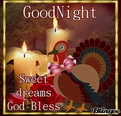 6d05203330e28a251abf6e10ea72b6bd--queen-bees-good-night.webp