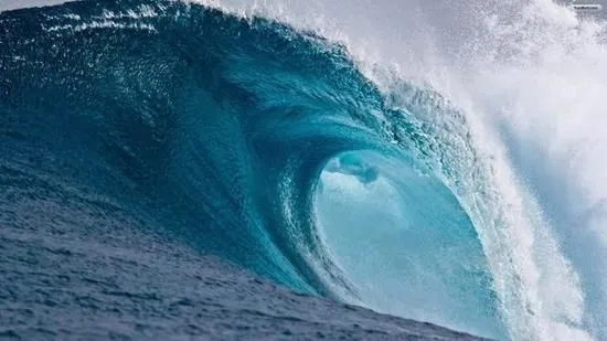 72CCF413-A724-49BC-8545-2C407A18499C.webp
