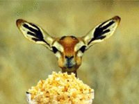 7FB16607-26A0-45E6-8CCB-9D7EC6D6395B.gif