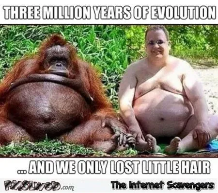 8-funny-evolution-meme.webp