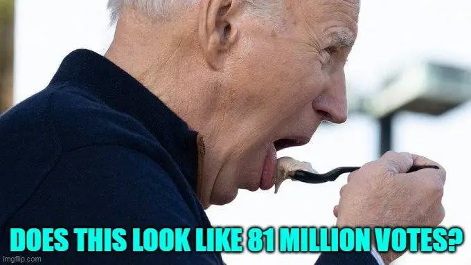 81 million votes.webp