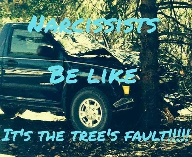 835b0c7748fd1ff49f178044f405c138--narcissist-humor-narcissistic-sociopath.webp