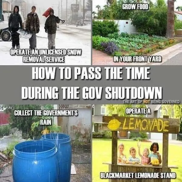 87931449-8B21-4DC6-B1A7-774088752552.webp
