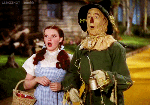 997b785a727c9d54b20198a295376d14.gif