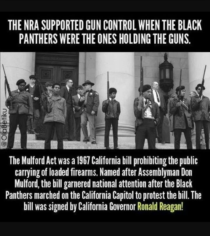 _00.rac008 (28).webp