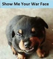 _____Show me you War Face.webp