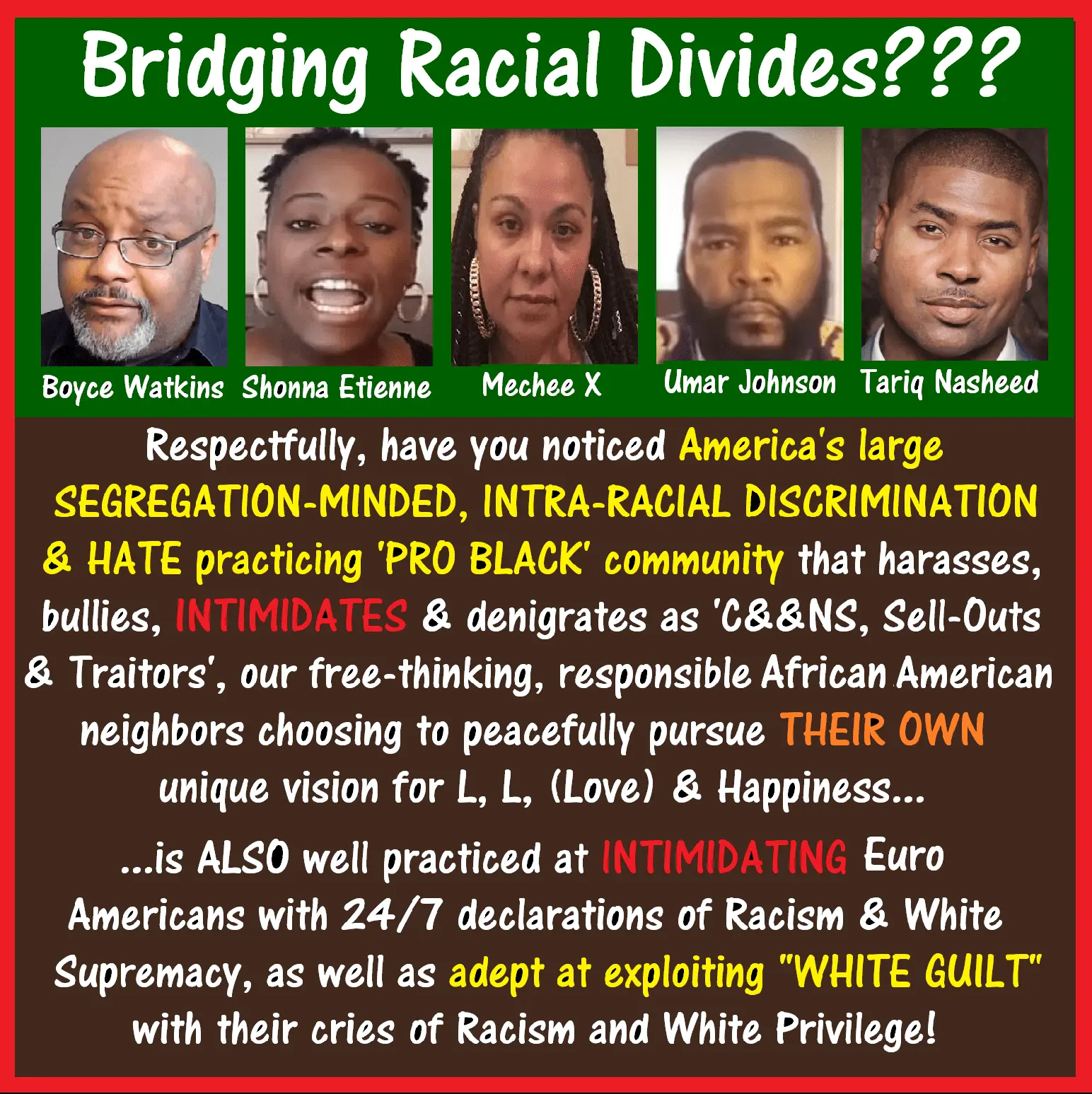 _Bridging Racial Dixides NOTICED PRO BLACK #HATE.webp