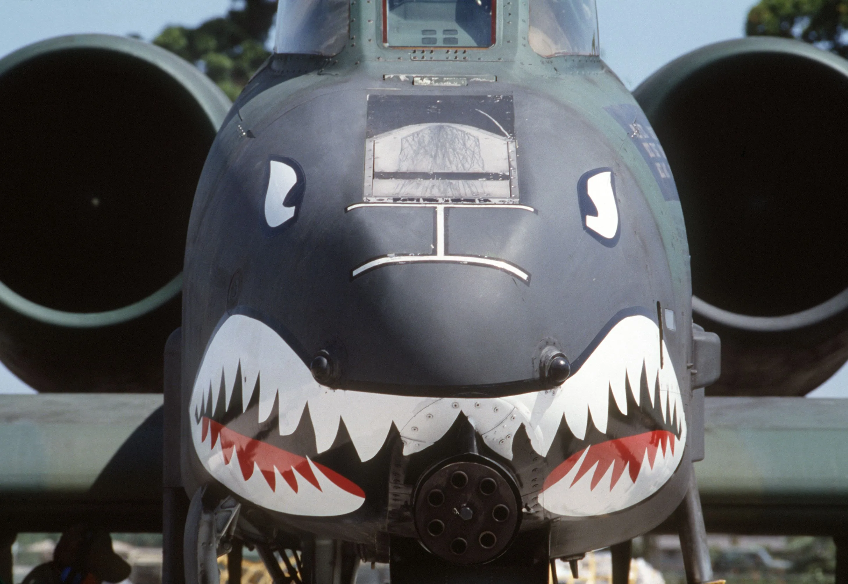 A-10_Thunderbolt_II_Shark_Face.webp