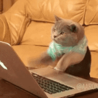 A575E3D5-CBDC-48DB-B7B6-2E1973E0E422.gif
