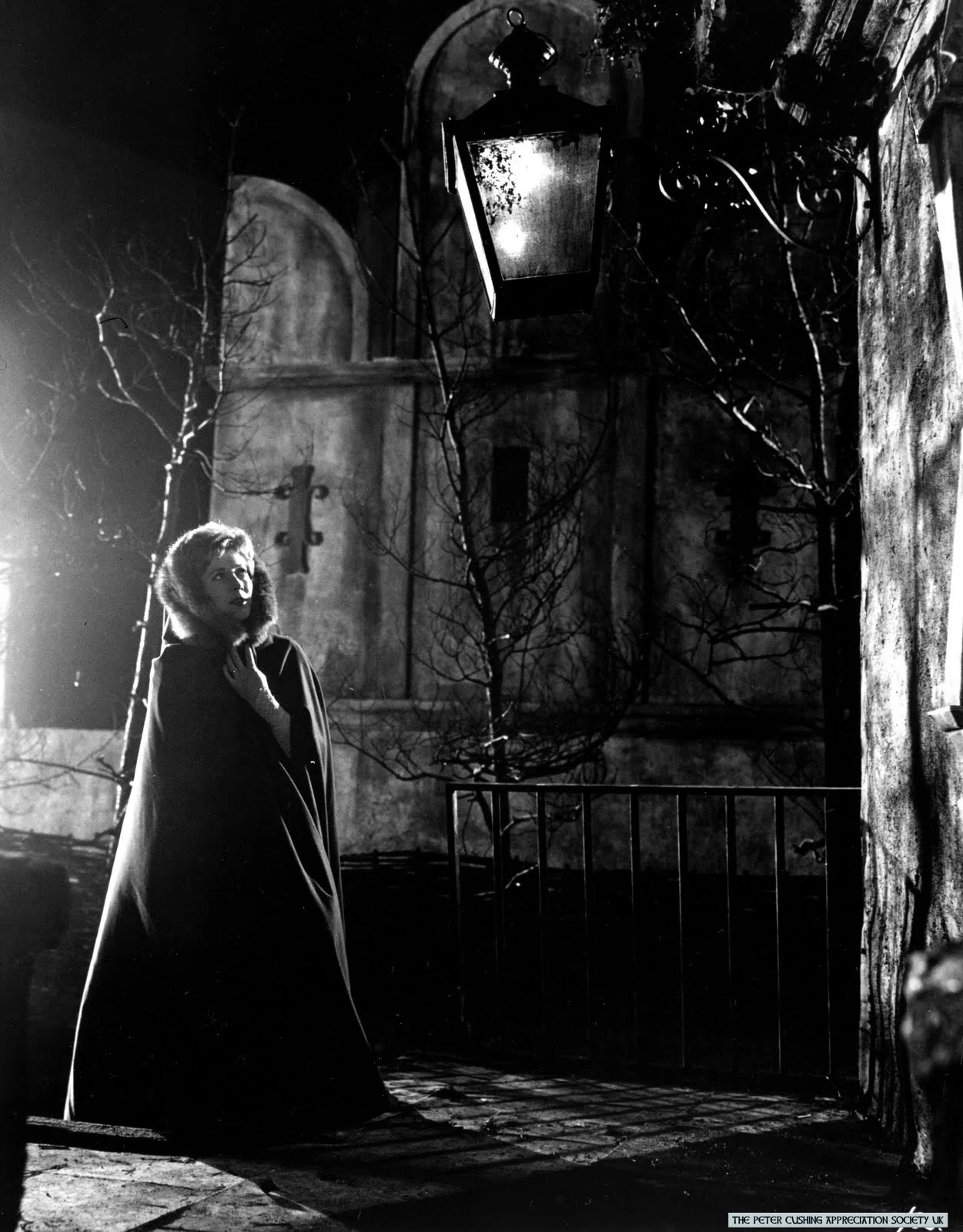 AA DRACULA HAMMER FILMS PCAS.webp