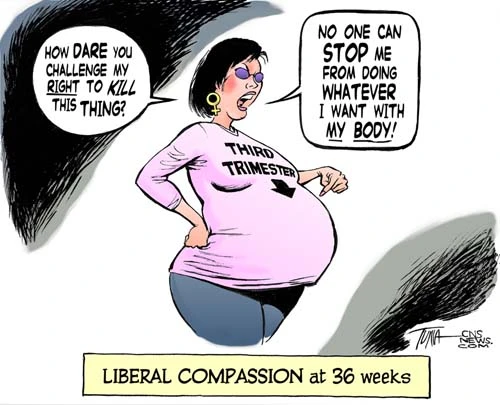 abortion-rights.webp