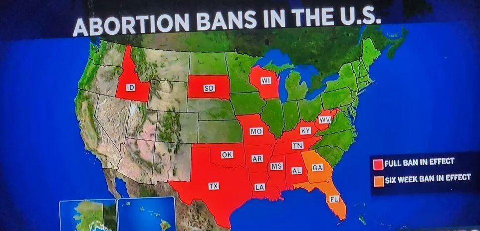 abortionbanmap.jpg