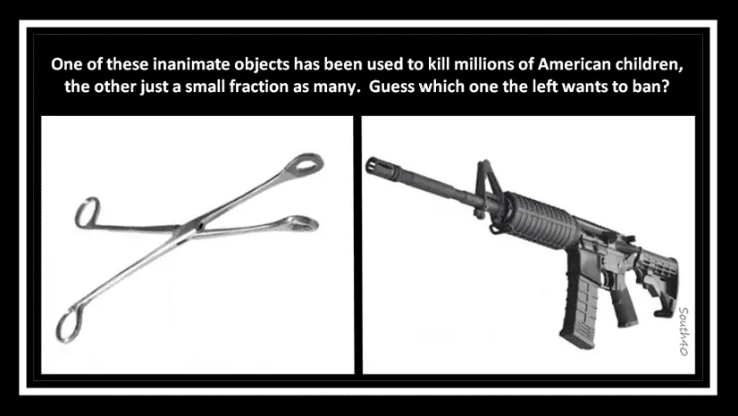 Abortions vs guns2.webp
