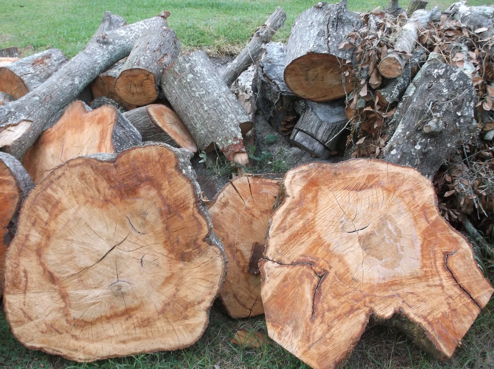 afirepitwood (copy 1).webp