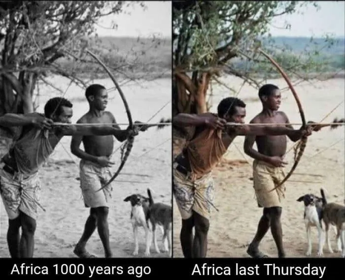 Africa.webp
