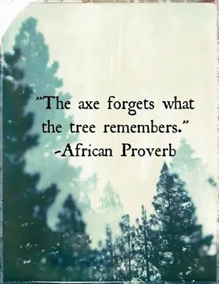 african proverb.webp