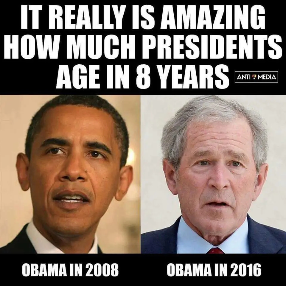 AgesChimpy.webp