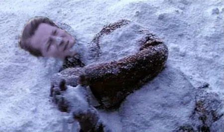 al_gore_frozen.webp