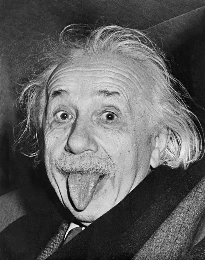 Albert-Einstein-sticks-hi-001.webp