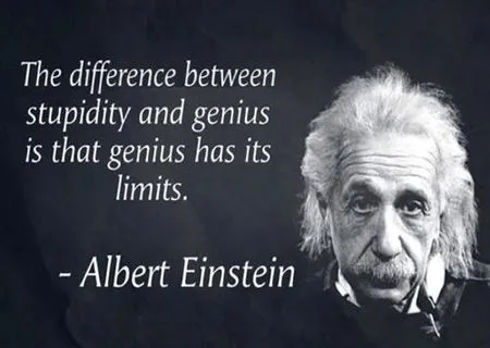 alberteinstein quote  stupidity vs genius.webp
