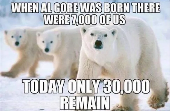 algore fuckup 442.webp