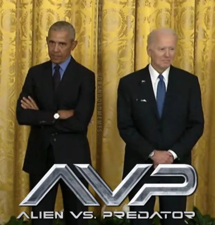 alien vs predator.webp