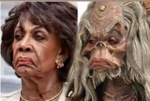 alienmaxinewaters.webp
