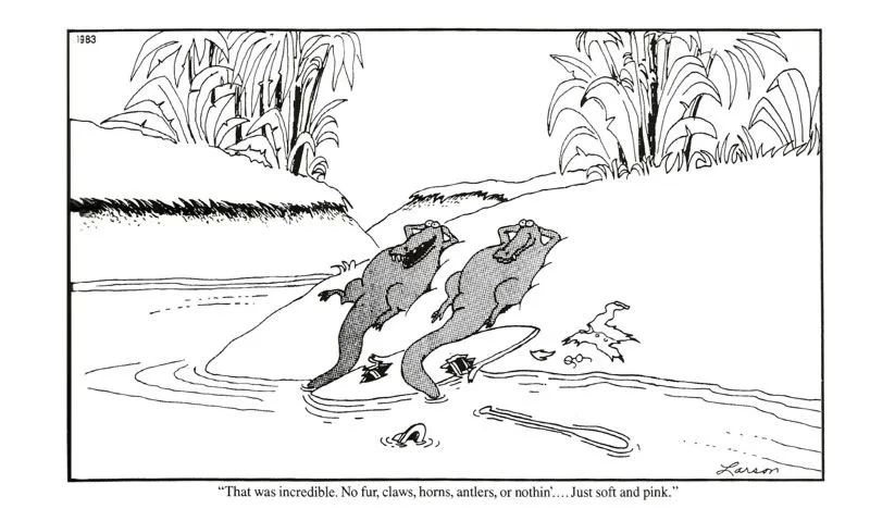 alligatorsFLduh.webp