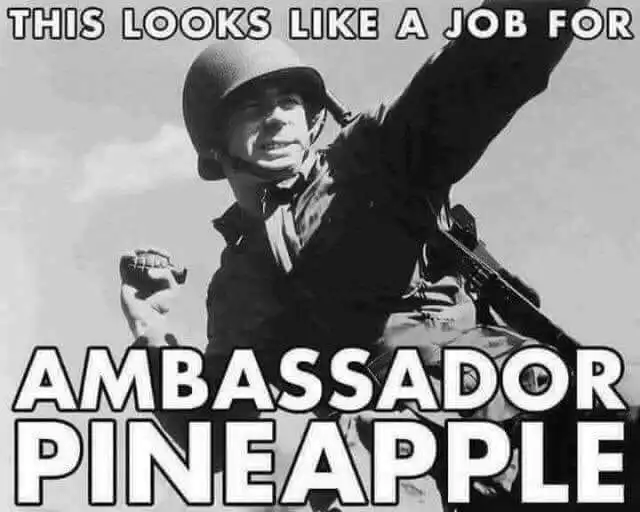 AmbassPineapple.webp