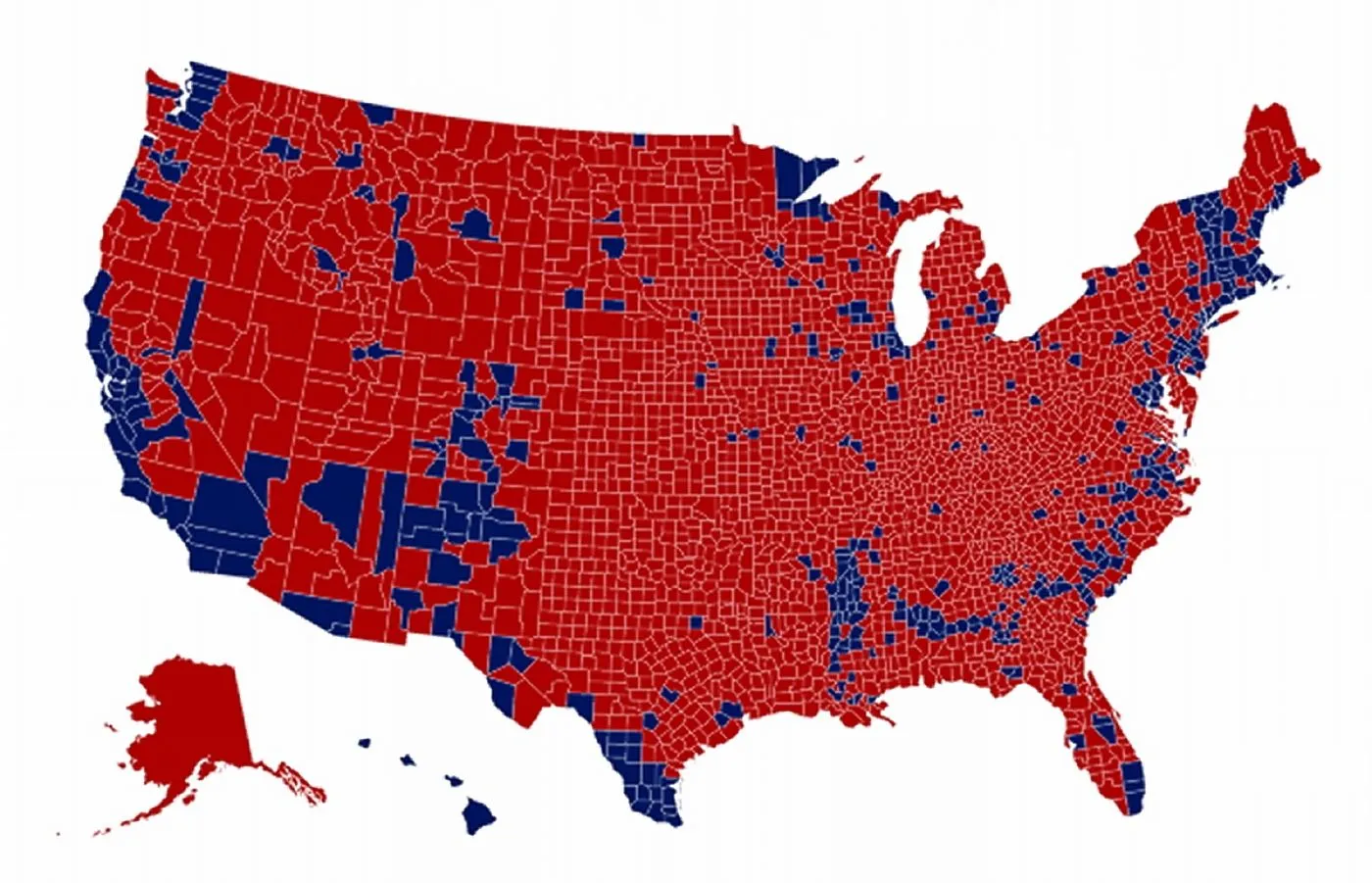 America.webp