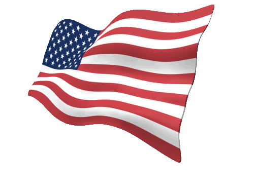 american-flag-gif-transparent-13.gif
