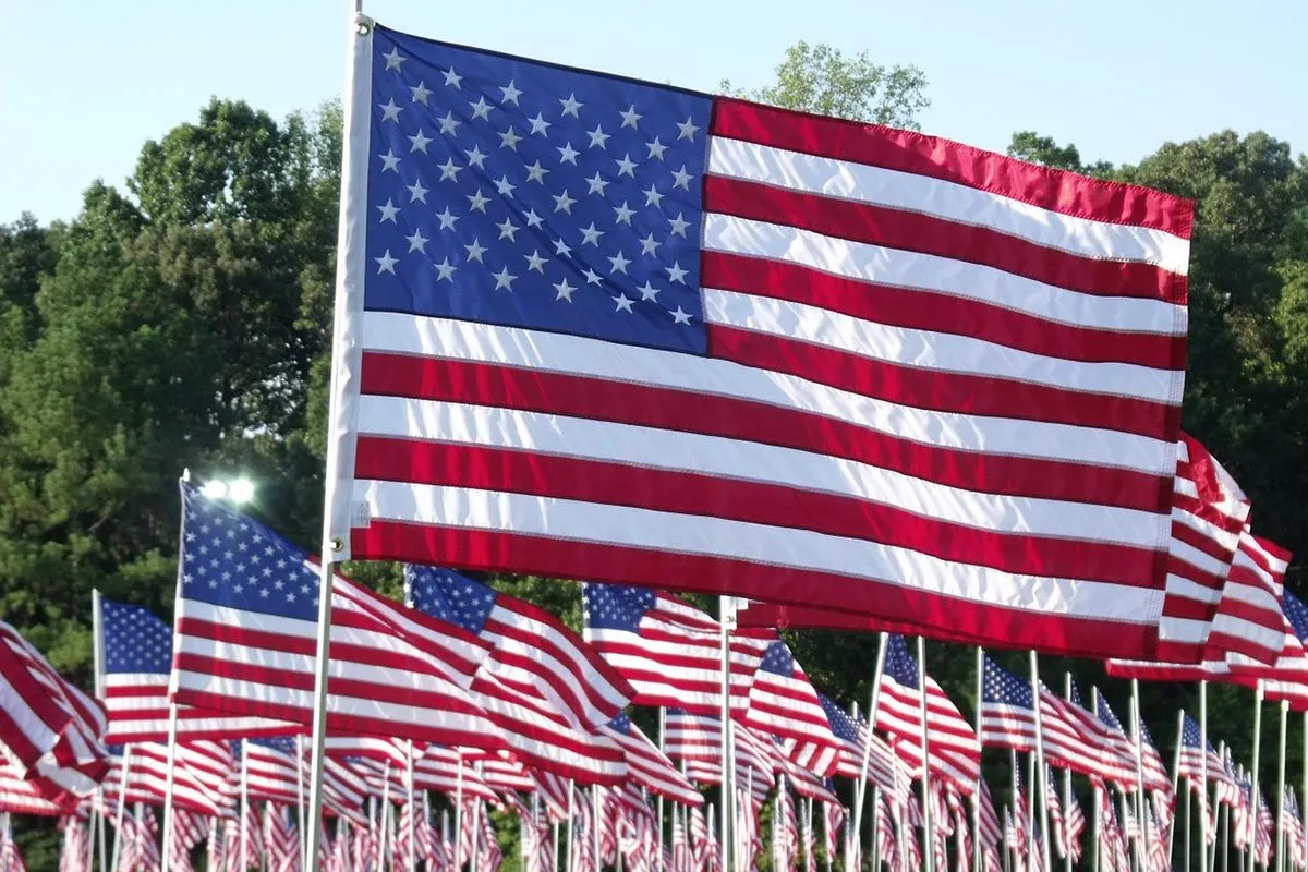 american-flags-trees.webp