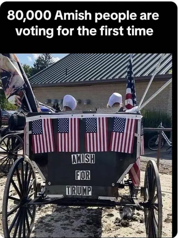 amish vote.webp