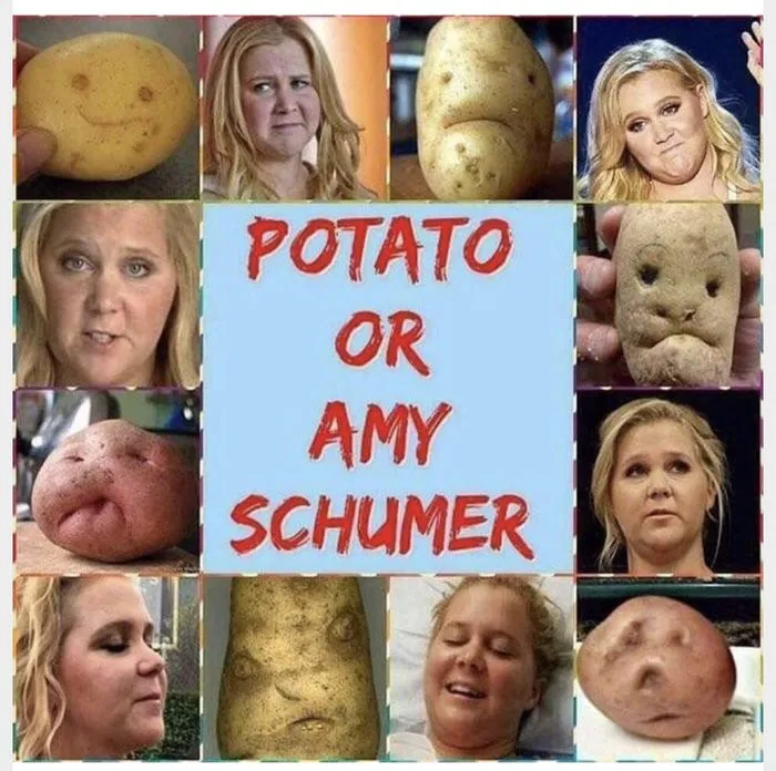 amy schumer potato.webp