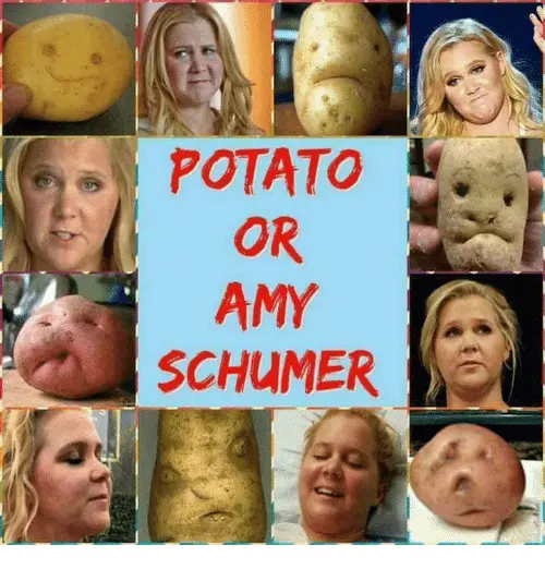 amy-schumer-potatoface.webp