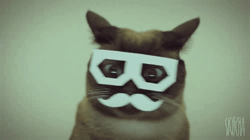 anigif_enhanced-buzz-8195-1355941233-2.gif