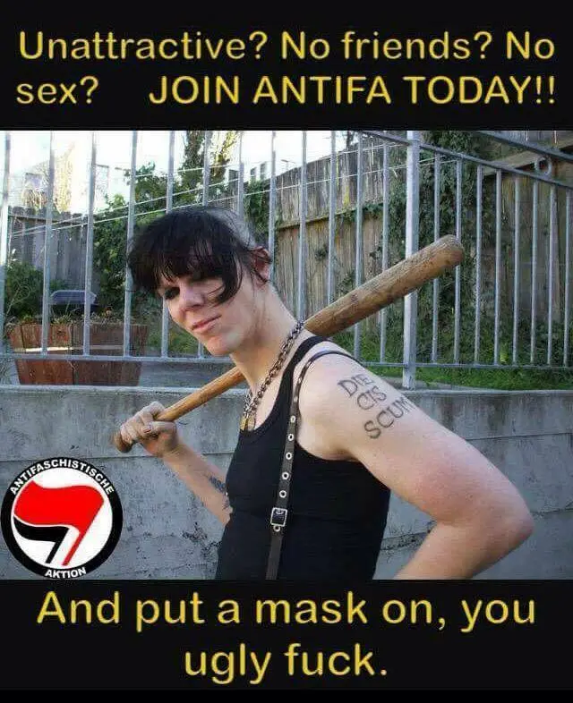 ANITFA.webp