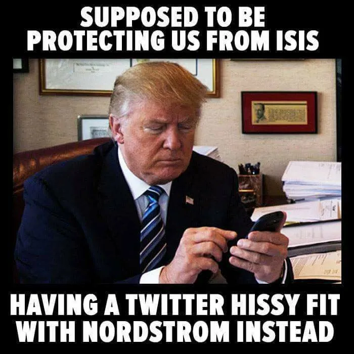 Another Twitter fit.webp