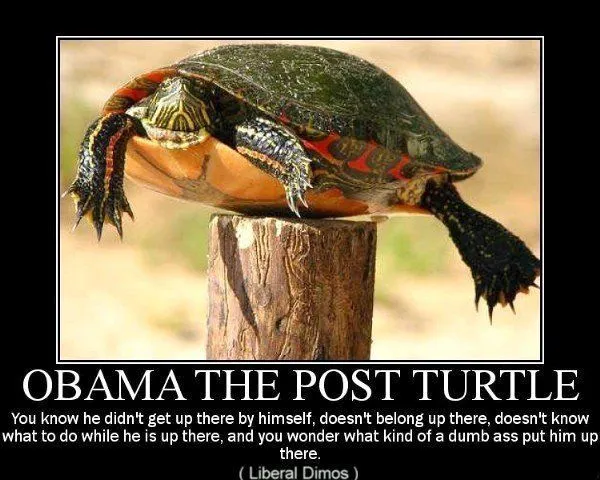 anti-obama-funny-pictures-802.webp