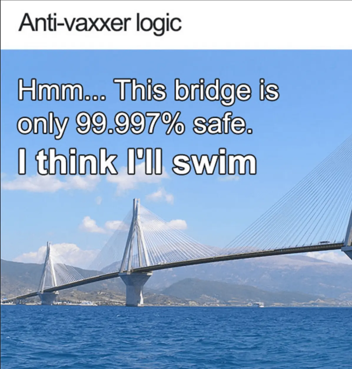 Anti-Vaxxer Logic.webp