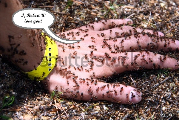 AntlovesTrump.webp