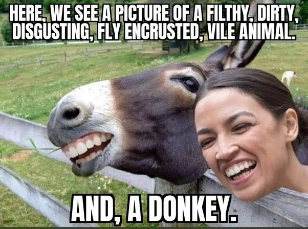 aoc donkey.webp