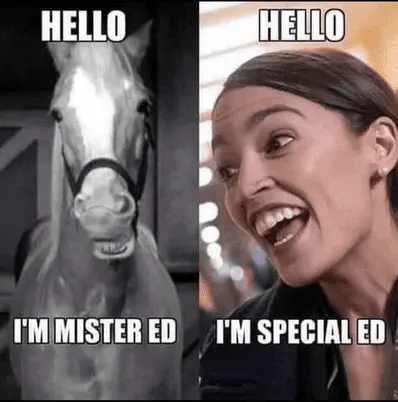 aoc special ed.webp