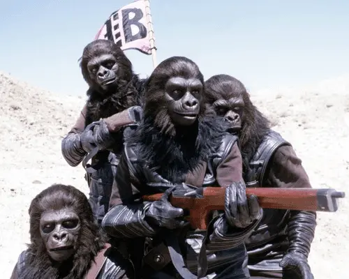 apes.webp
