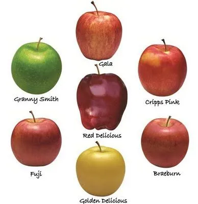 apples.webp