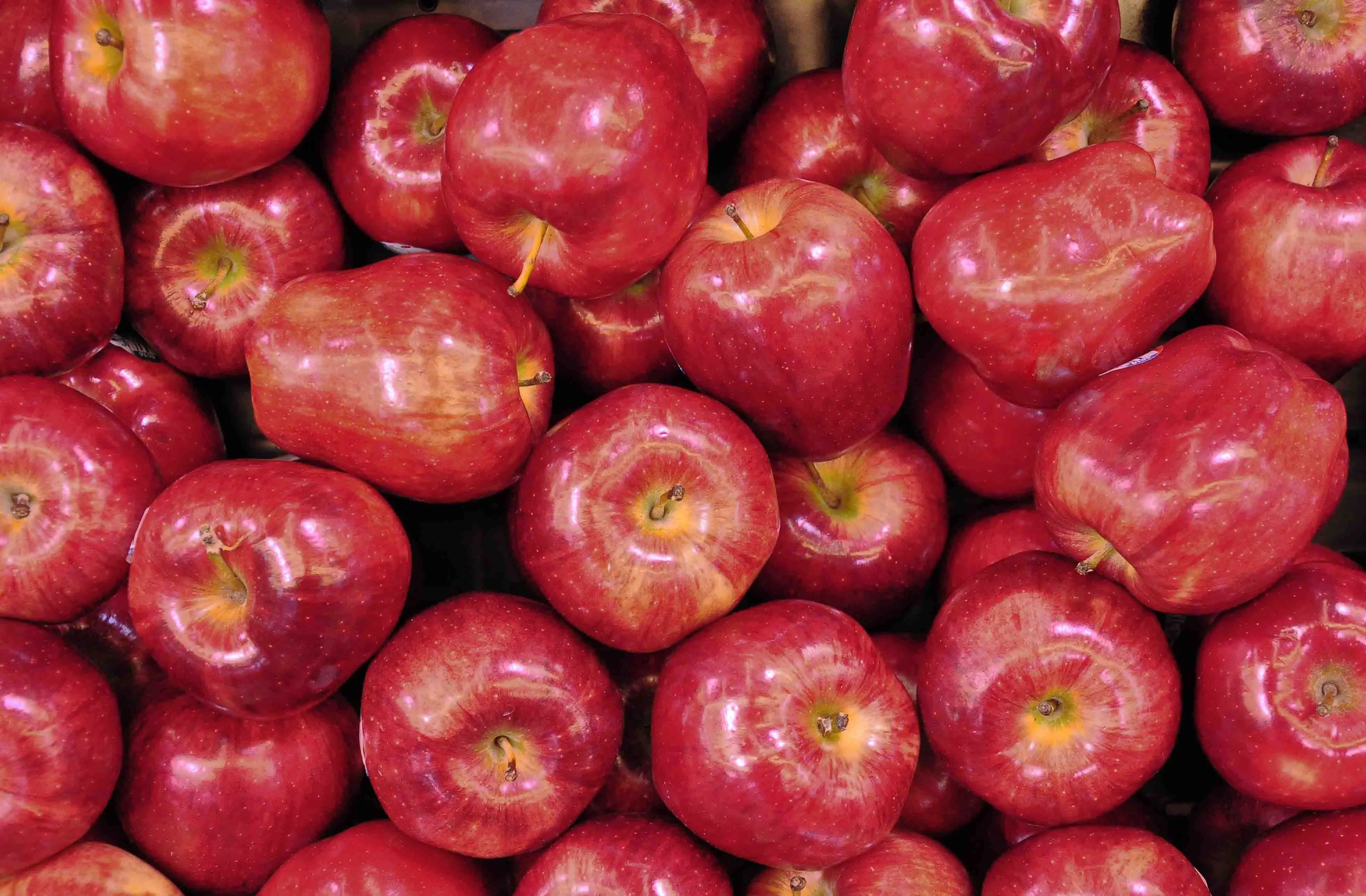 Apples_web.webp