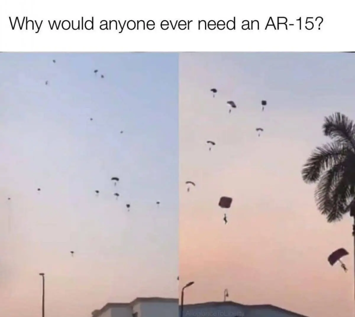 AR-15 why need.webp