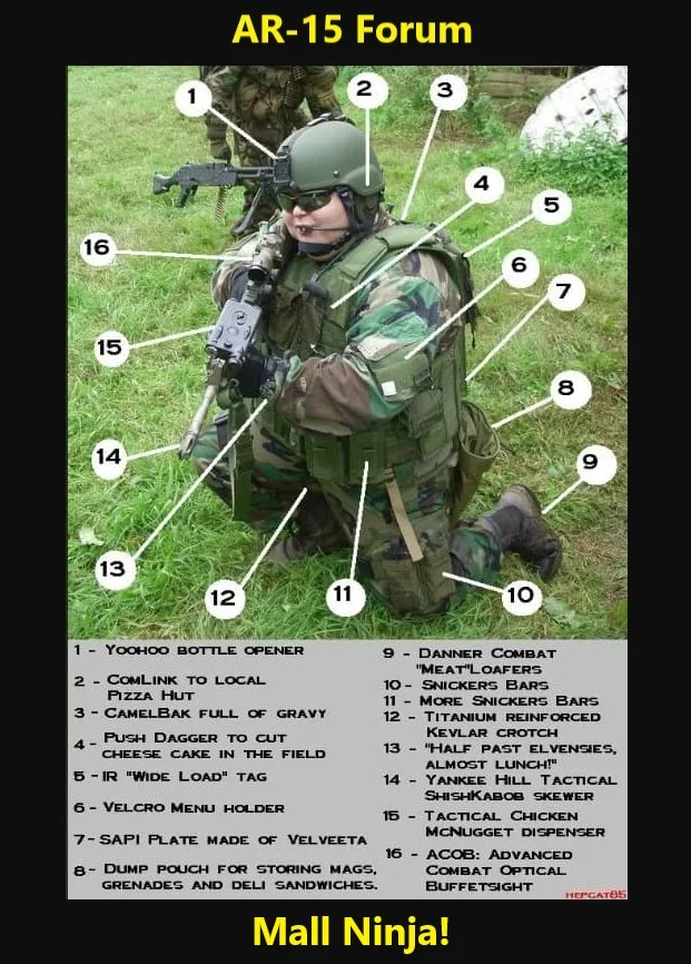 AR15 forum mall ninja.webp