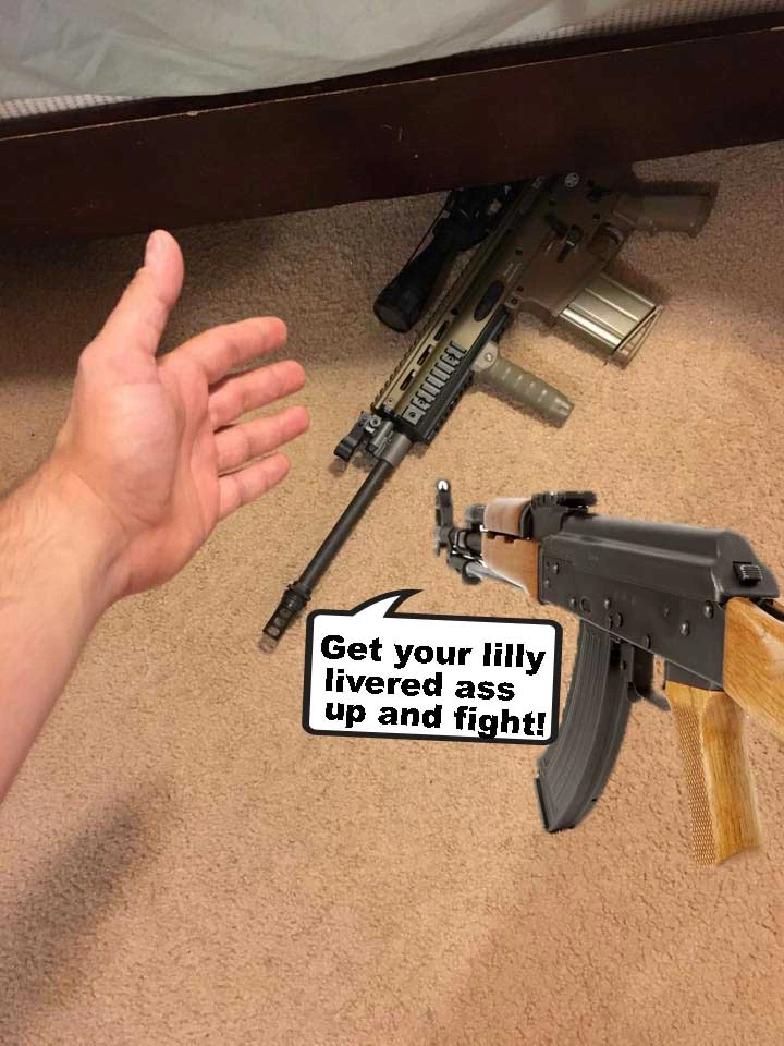 ar15.webp